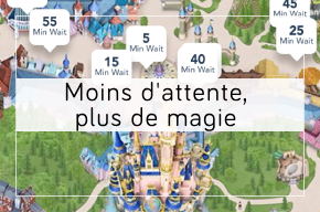 Voyages Disney : capture temps d'attente Walt Disney World, gérer les files d’attente dans les parcs Disney comme un pro