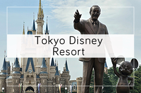 Voyages Disney : Walt Disney World : Cinderella castle, château de Cendrillon, Walt Disney, Mickey Mouse
